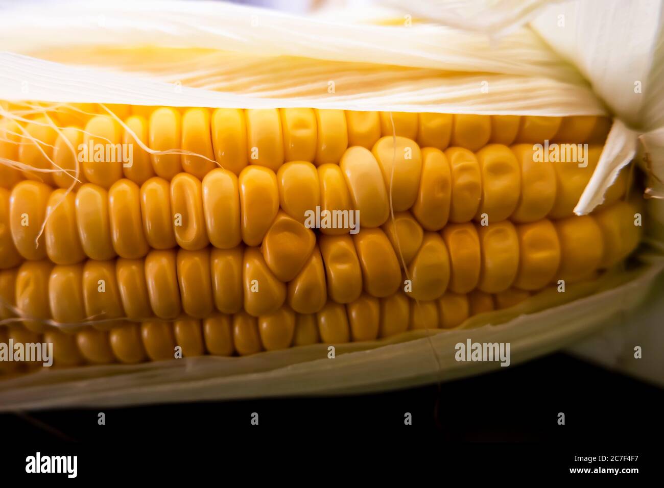 Ein Nahaufnahme Blick auf frischen Mais Mais Mais Mais und Blätter Stockfoto