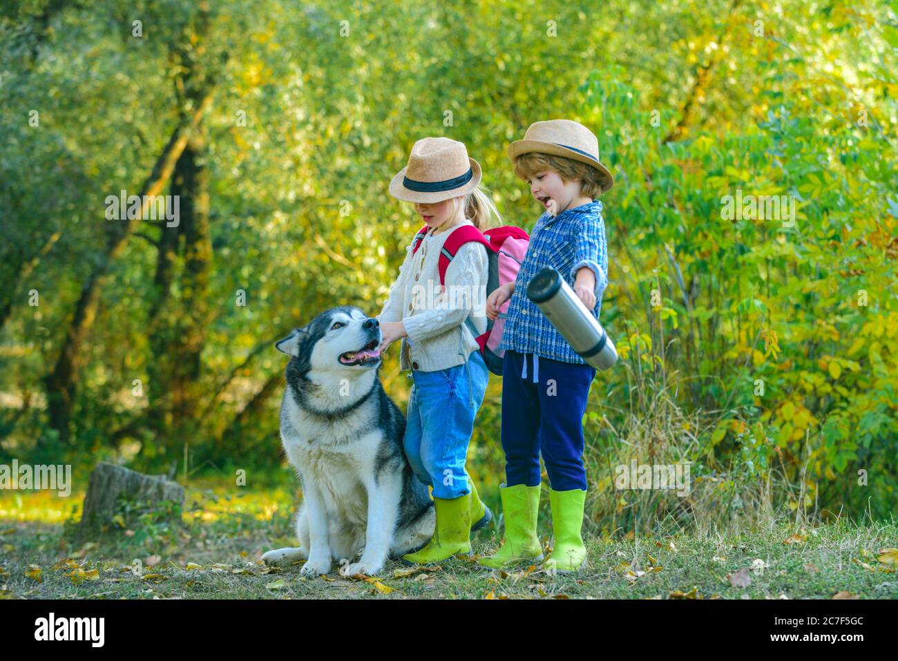 Kinder Bruder und Schwester und Hund zusammen im Park. Kinder wandern zusammen mit Hund. Zwei Kinder mit Wanderurlaub Tag mit Hund Stockfoto