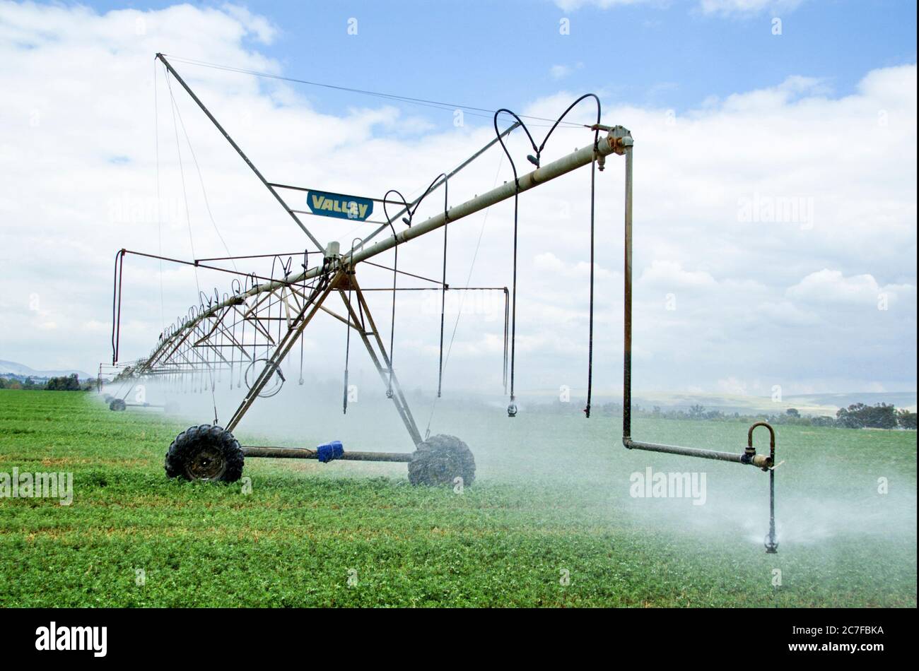Israel, Beit Shean Valley, Kibbuz Rupin, EINE computergesteuerte mobile Sprinklerleitung Diese Linie wird automatisch durch computergesteuerte Rückmeldung, die eine erzeugt, vorgerutscht Stockfoto