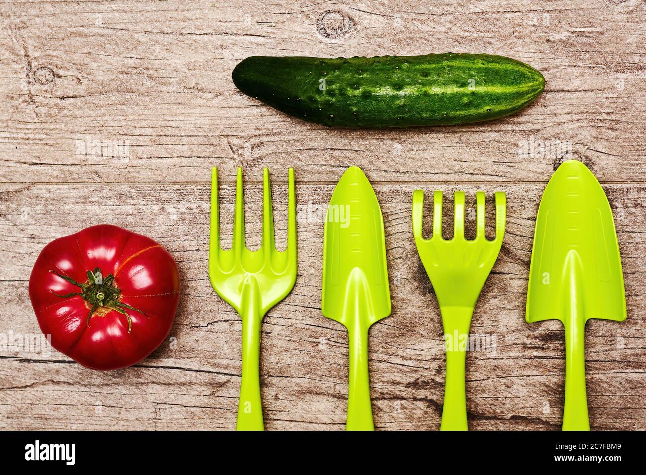 Frisches rohes Gemüse, Tomaten und Gurken mit Gartengeräten. Garten- und Gartengeräte auf der flachen Holzfläche Stockfoto