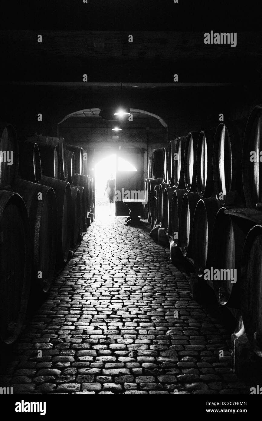 Vertikale Graustufen Aufnahme einer Aufstellung von Fässern voller Wein in einem Keller Stockfoto