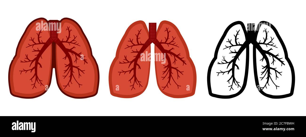 Gesunde Lungen, Bronchus und menschliche Luftröhre. Ganz. Setzen. Farbbild und monochromes Symbol. Eine Serie von Illustrationen zu den inneren Organen. Isolierte Vec Stock Vektor