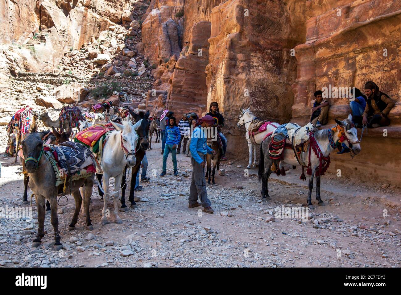 Beduinen mit ihren Pferden warten in der Nähe des Schatzamtes auf die Kunden, die durch die antike Stätte Petra in Jordanien reiten. Stockfoto