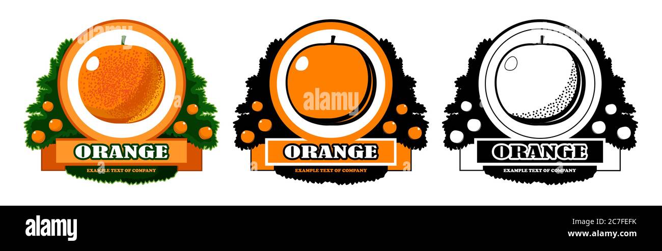 Orange Logo Vektor isolieren. Symbol für die Herstellung von Zitrusfrüchten: Orangen, Mandarinen, Grapefruits, Zitrusfrüchte. Band mit Firmennamen. Drei Optionen Stock Vektor