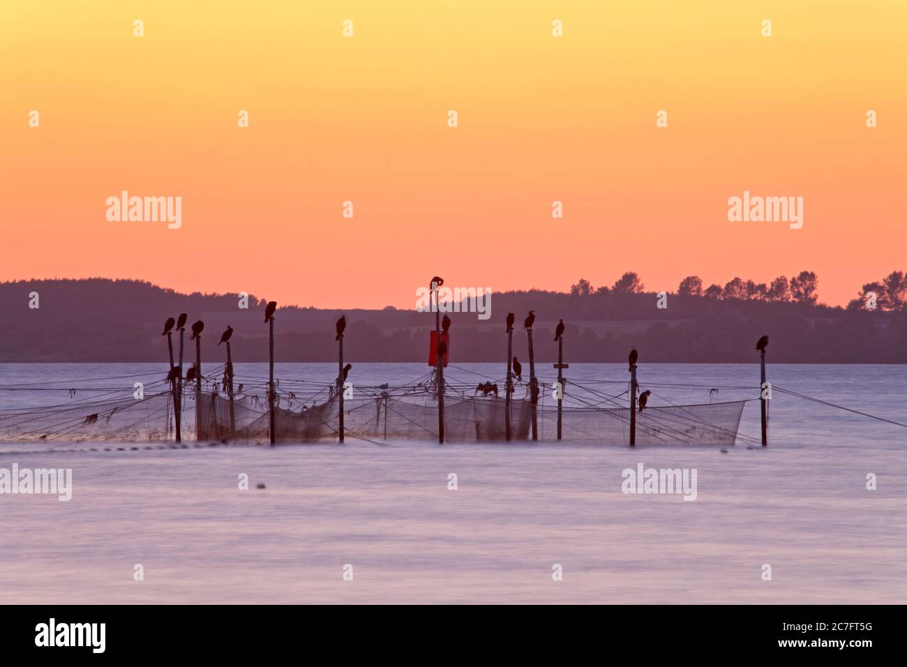 Deutschland, Mecklenburg-Vorpommern, Deutsche Küste, hierherpommern, Ostsee, . Stockfoto