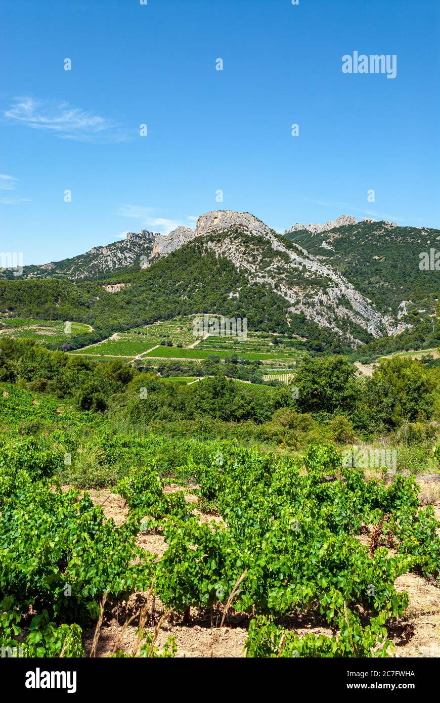 Landschaft des Vaucluse-Gebirges in der Provence im Süden Frankreichs Stockfoto