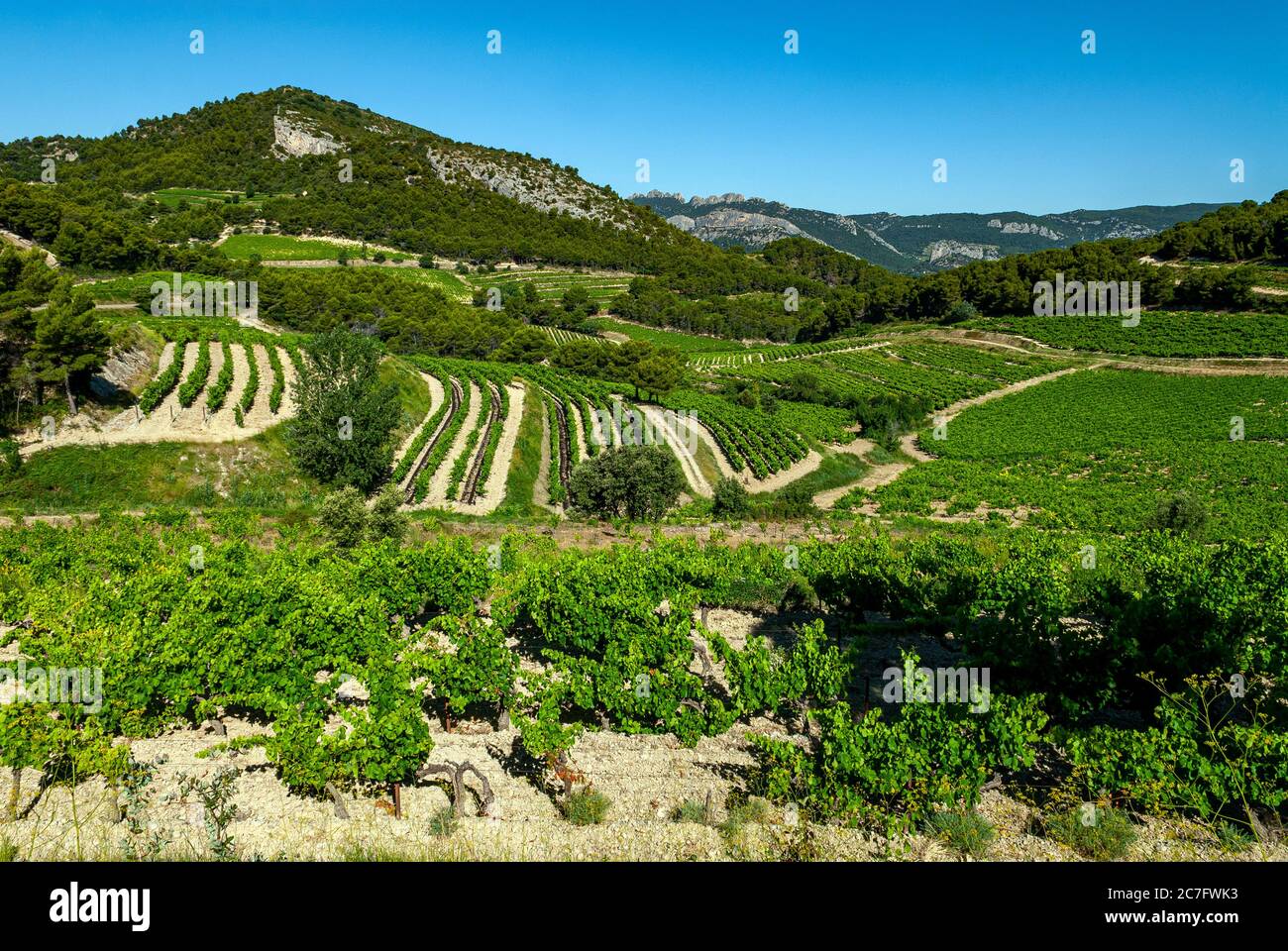 Landschaft des Vaucluse-Gebirges in der Provence im Süden Frankreichs Stockfoto