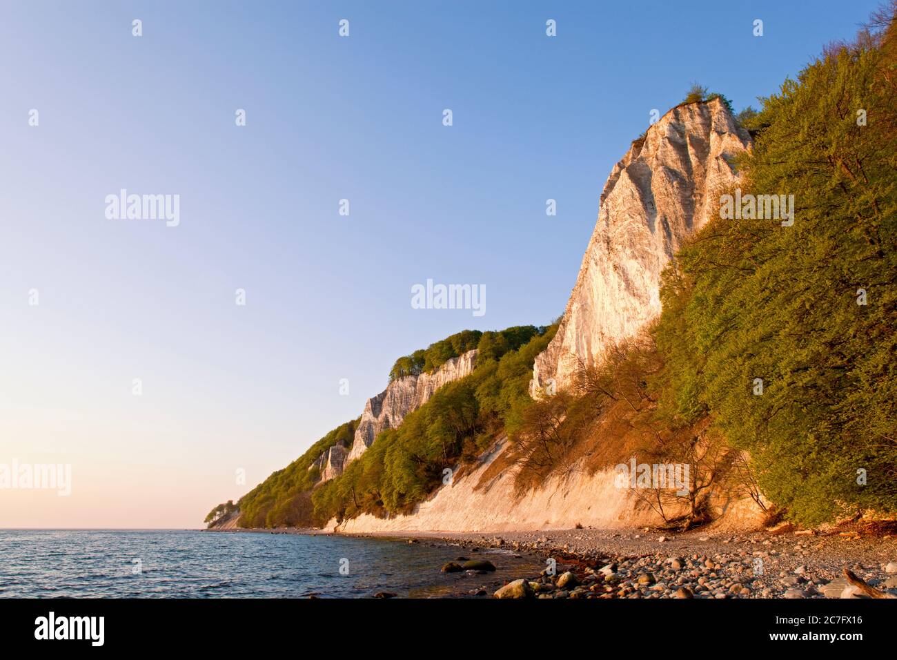 Deutschland, Mecklenburg-Vorpommern, Ostsee, Rügeninsel, Jasmund National Par. Stockfoto
