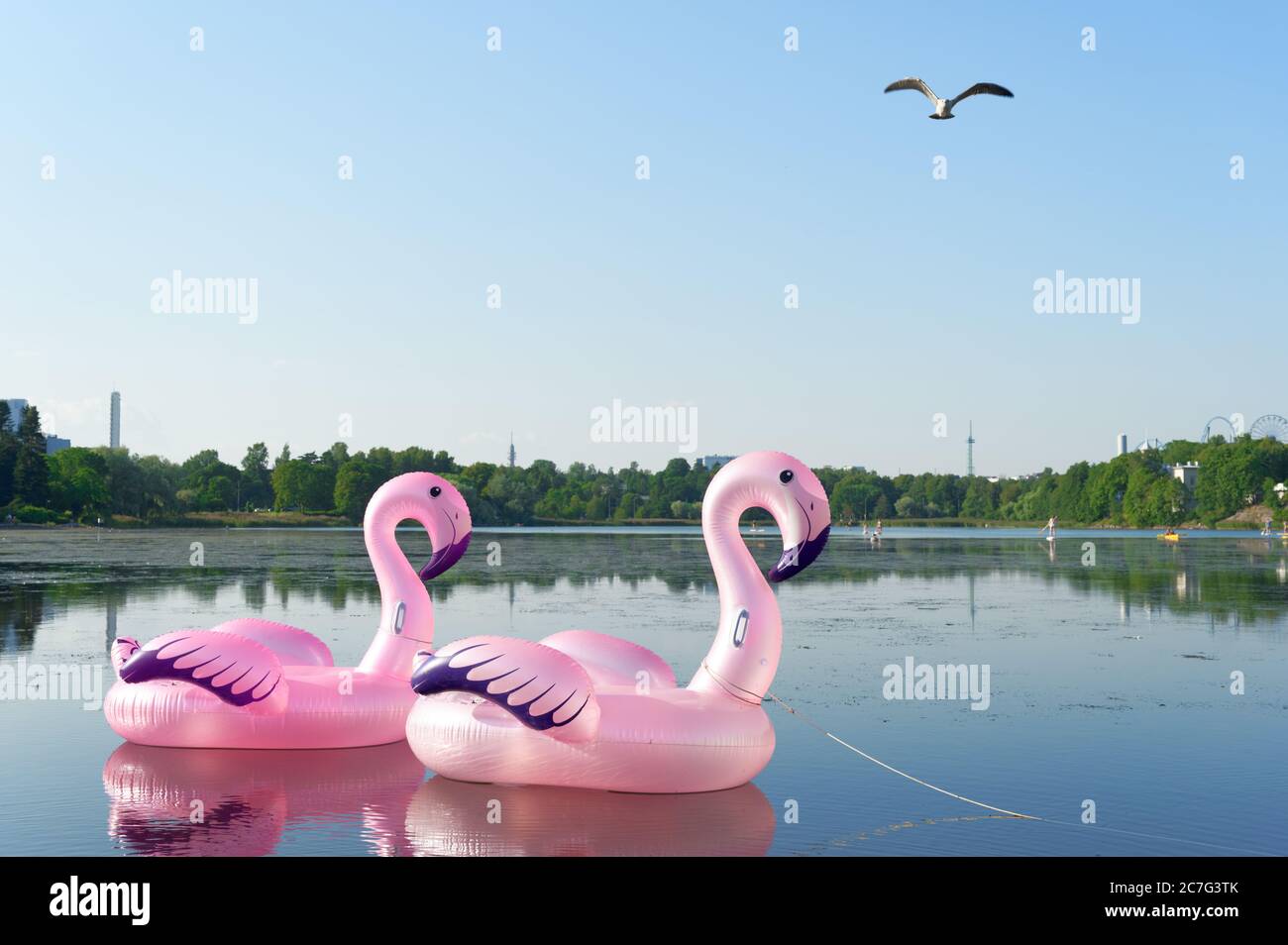 Pinkfarbener aufblasbarer Spielzeug-Flamingo auf dem See im Zentrum von Helsinki, Finnland Stockfoto