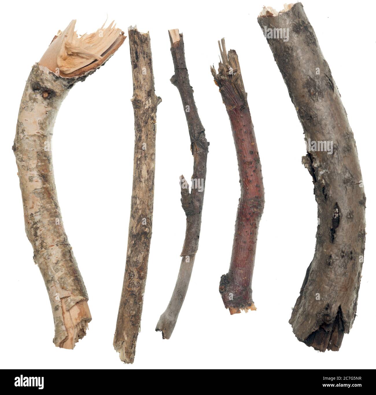 Stäbe und Zweige isoliert auf weißem Hintergrund Stockfoto