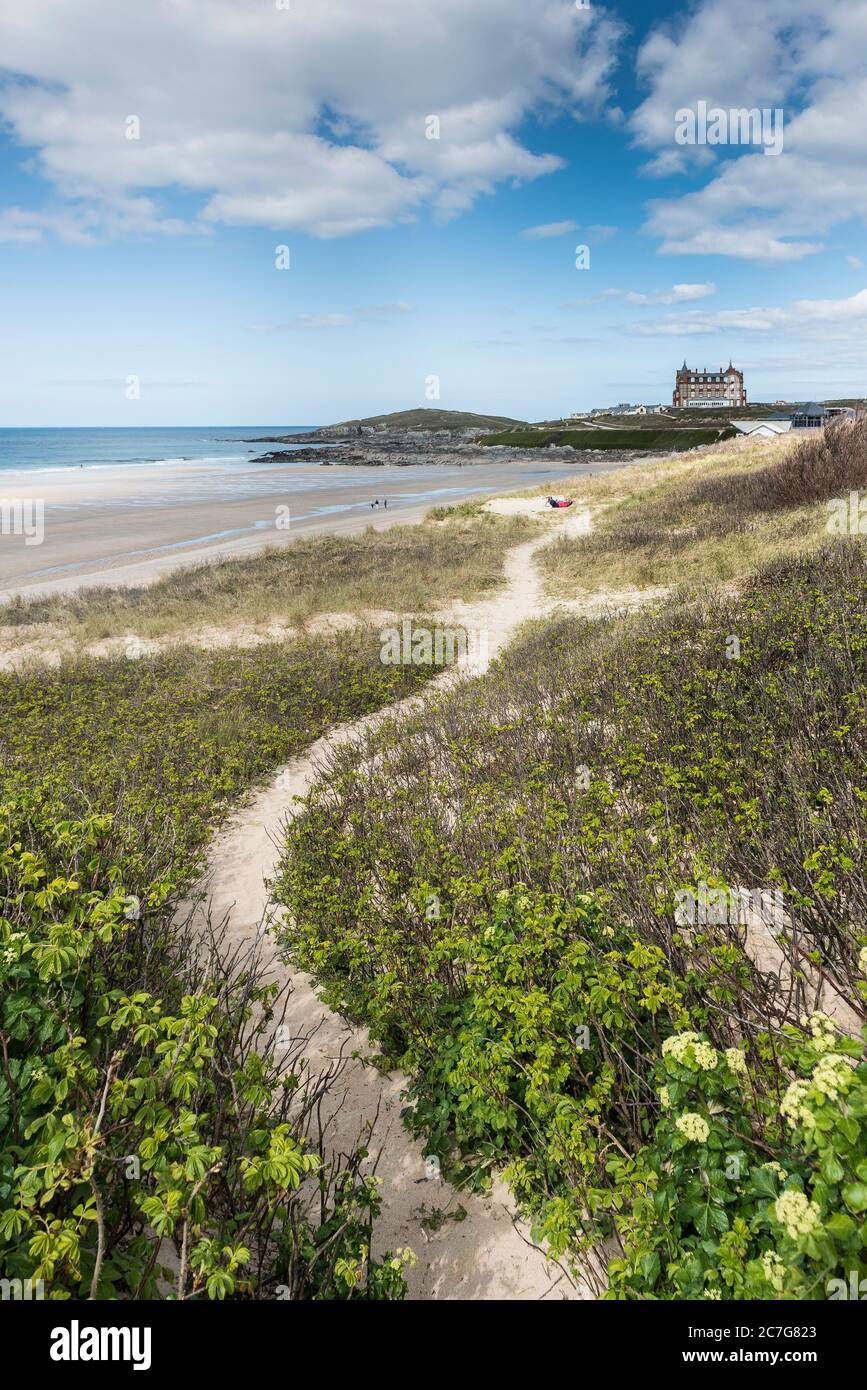 Ein Wanderweg durch die Vegetation, die auf dem Sanddünensystem mit Blick auf Fistral Beach in Newquay in Cornwall wächst. Stockfoto