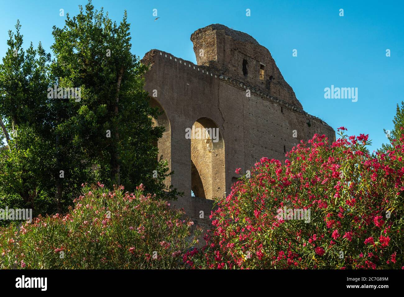 Romantischer Blick auf die römischen Ruinen der Basilika von Maxentius. Rom, Latium Region, Italien, Europa Stockfoto