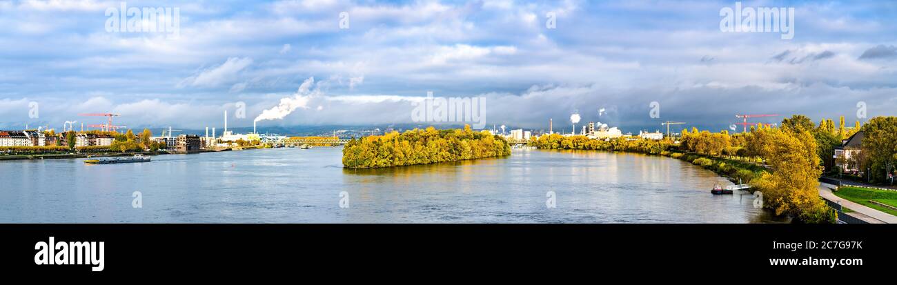 Panorama des Rheins zwischen Mainz und Wiesbaden in Deutschland Stockfoto