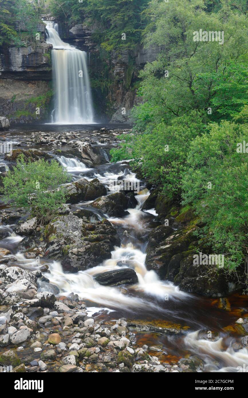 Thornton Force Wasserfall auf dem Wasserfallweg in Ingleton, North Yorkshire Stockfoto