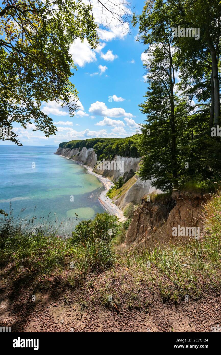 Kreidefelsen von Bäumen umrahmt vom Aussichtspunkt "Ernst-Moritz-Arndt-Sicht" auf dem Wanderweg Hochuferweg im Nationalpark Jasmund, Rügen, Deutschland. Stockfoto