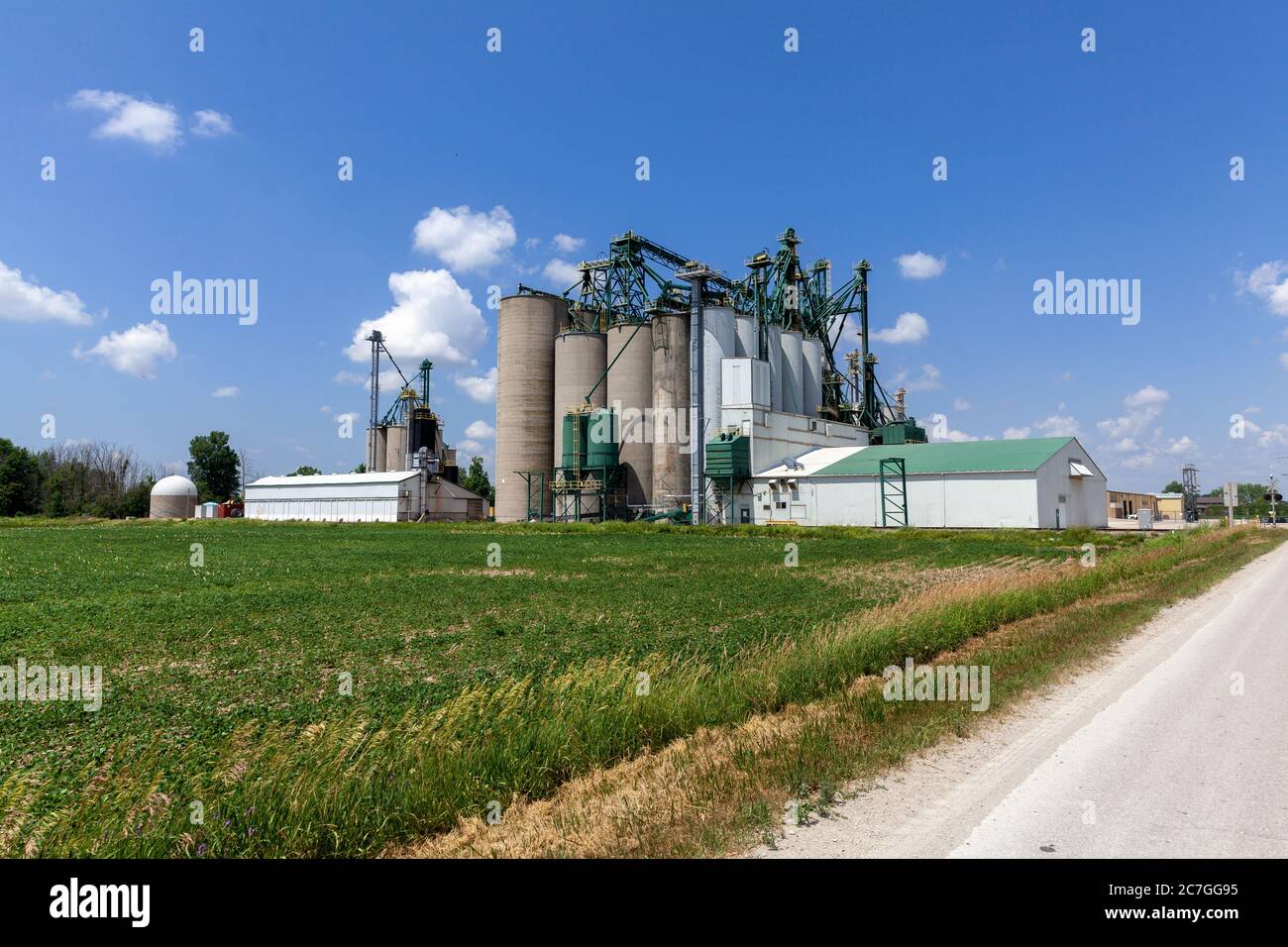 Thompsons Grain Elevator In Mitchell Ontario Canada Agricultral Products Storage And Distribution Stockfoto