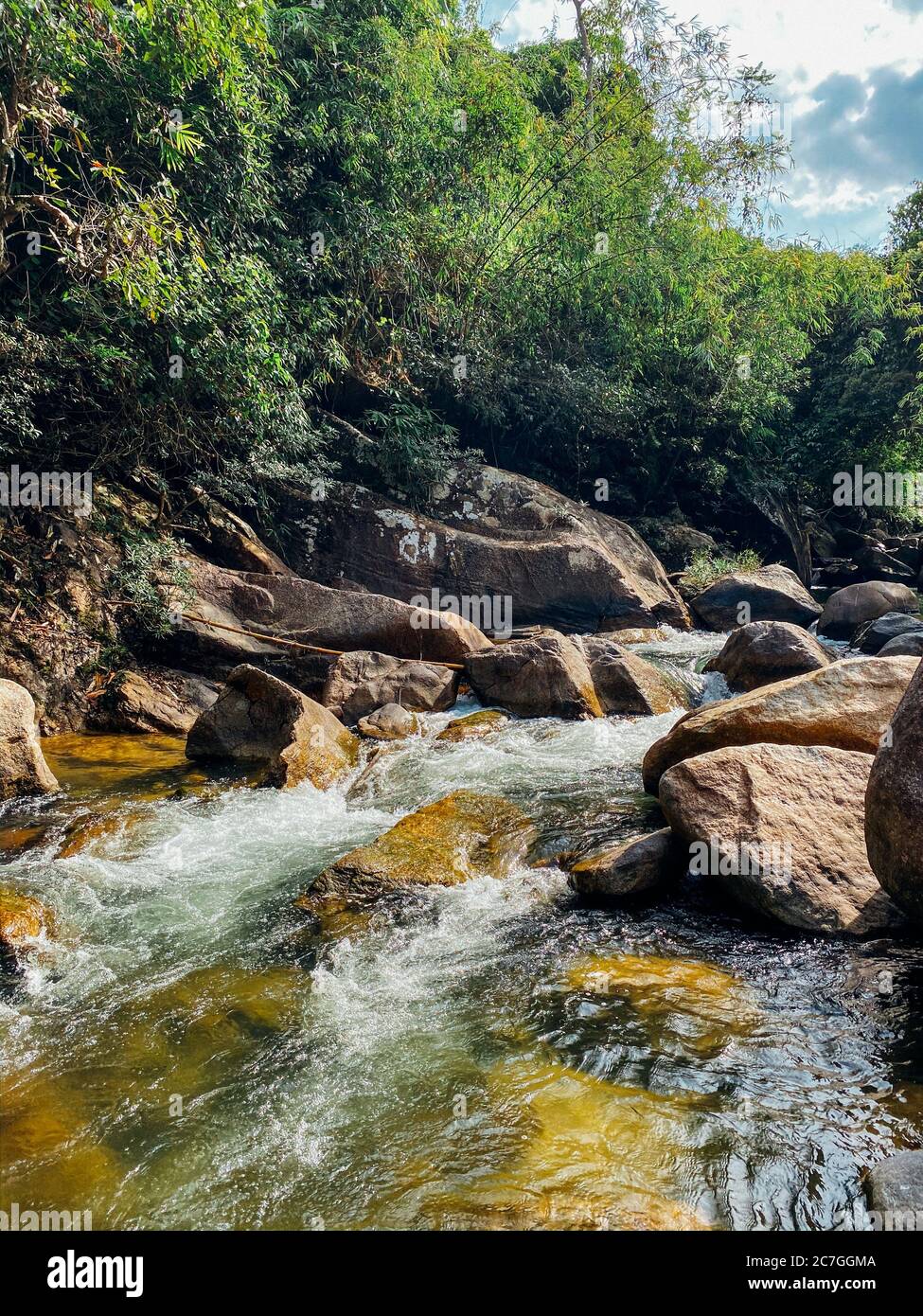 Ein kleiner Gebirgsfluss fließt zwischen großen Steinen in bergigen Gebieten durch den Wald. Natürliche Landschaft, mit einem sauberen Fluss eine schöne Landschaft, Stockfoto