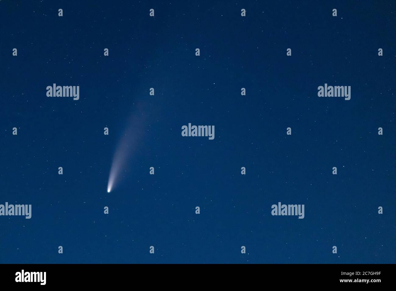 Komet C/2020 F3 Neowise am Nachthimmel bei Dämmerung, von Gloucestershire, England aus gesehen, während seines Besuchs am 2020. Juli. Stockfoto