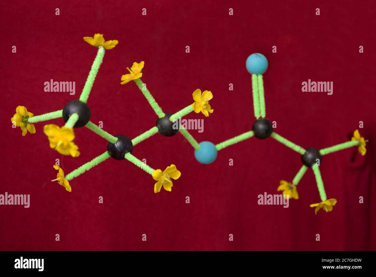 Auf einem roten Hintergrund schwebend, wird ein Projekt der Chemie-Wissenschaft der Heimatschule gezeigt, das Propylethanat oder Propylacetat darstellt. Stockfoto