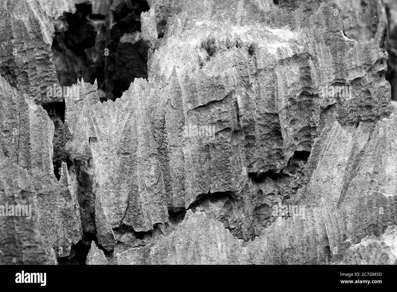 Blick auf Ankarana Special Reserve tsingy Plateau, Ankarana, Madagaskar Stockfoto