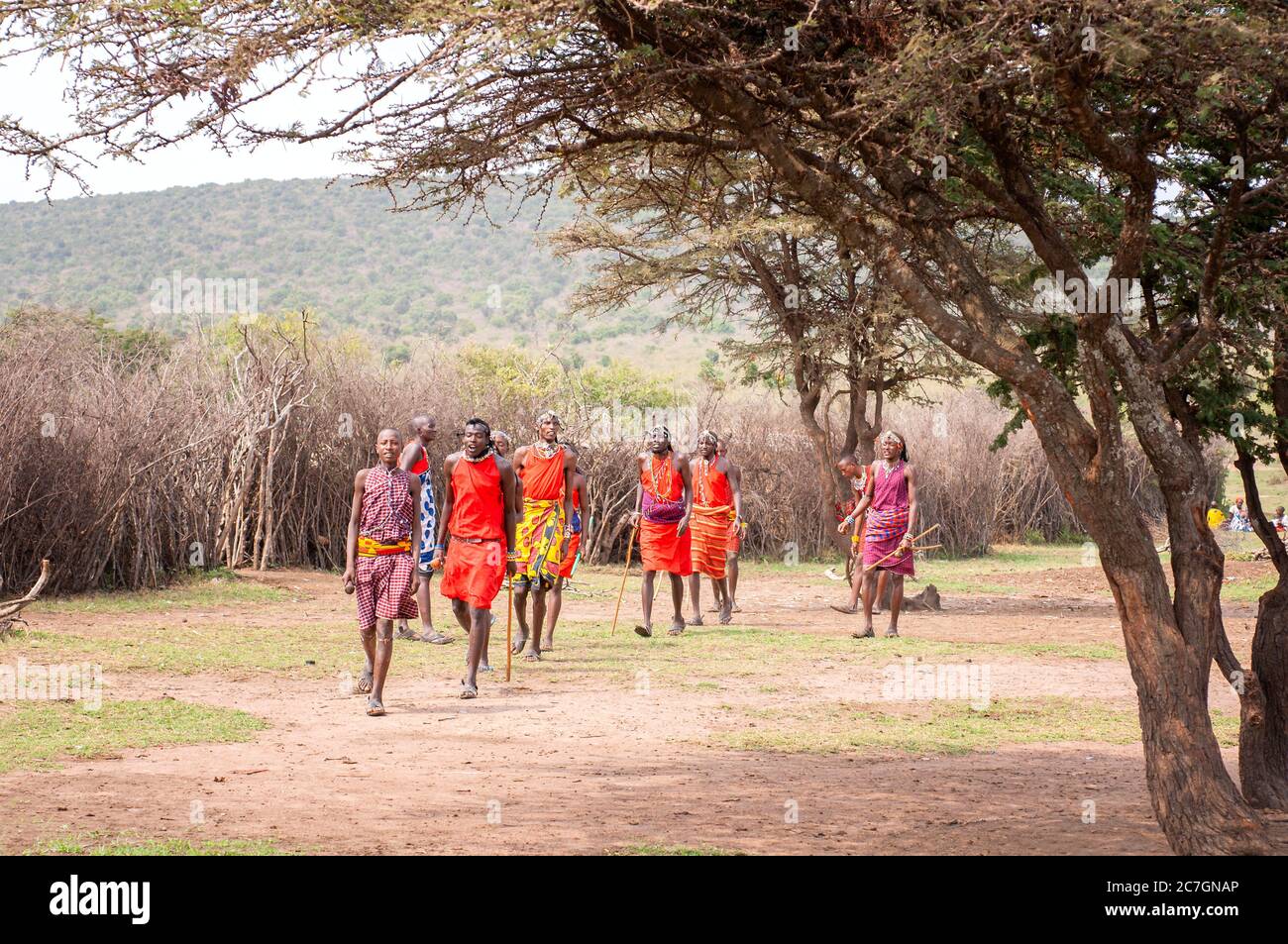 Maasai Männer in traditioneller Kleidung, in einem traditionellen Tanz, im Maasai Mara National Reserve. Kenia. Afrika. Stockfoto