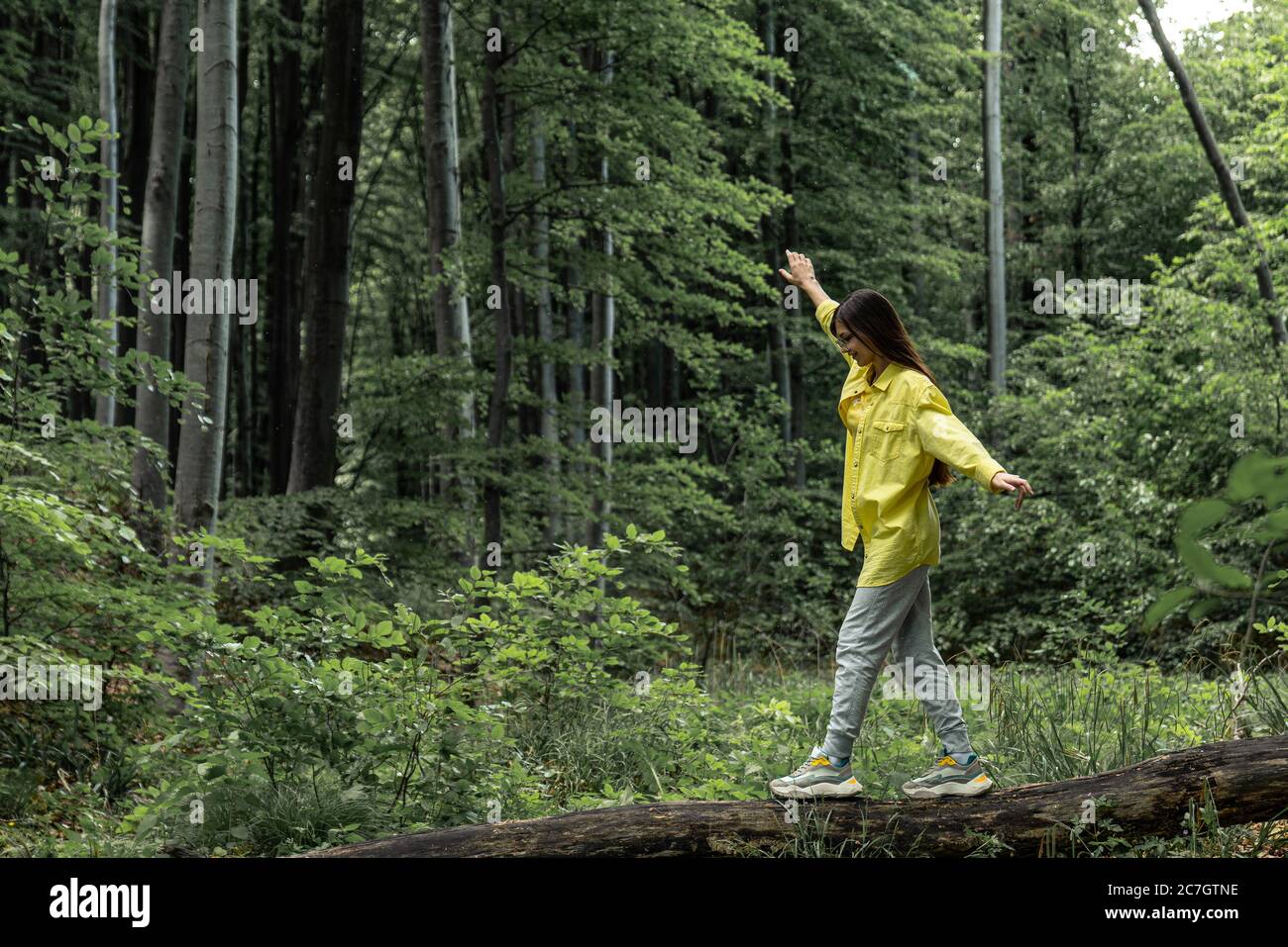 Brunette Mädchen ist zu Fuß entlang der Stamm eines gefallenen Baum. Frau fängt Balance auf einem Balken Stockfoto