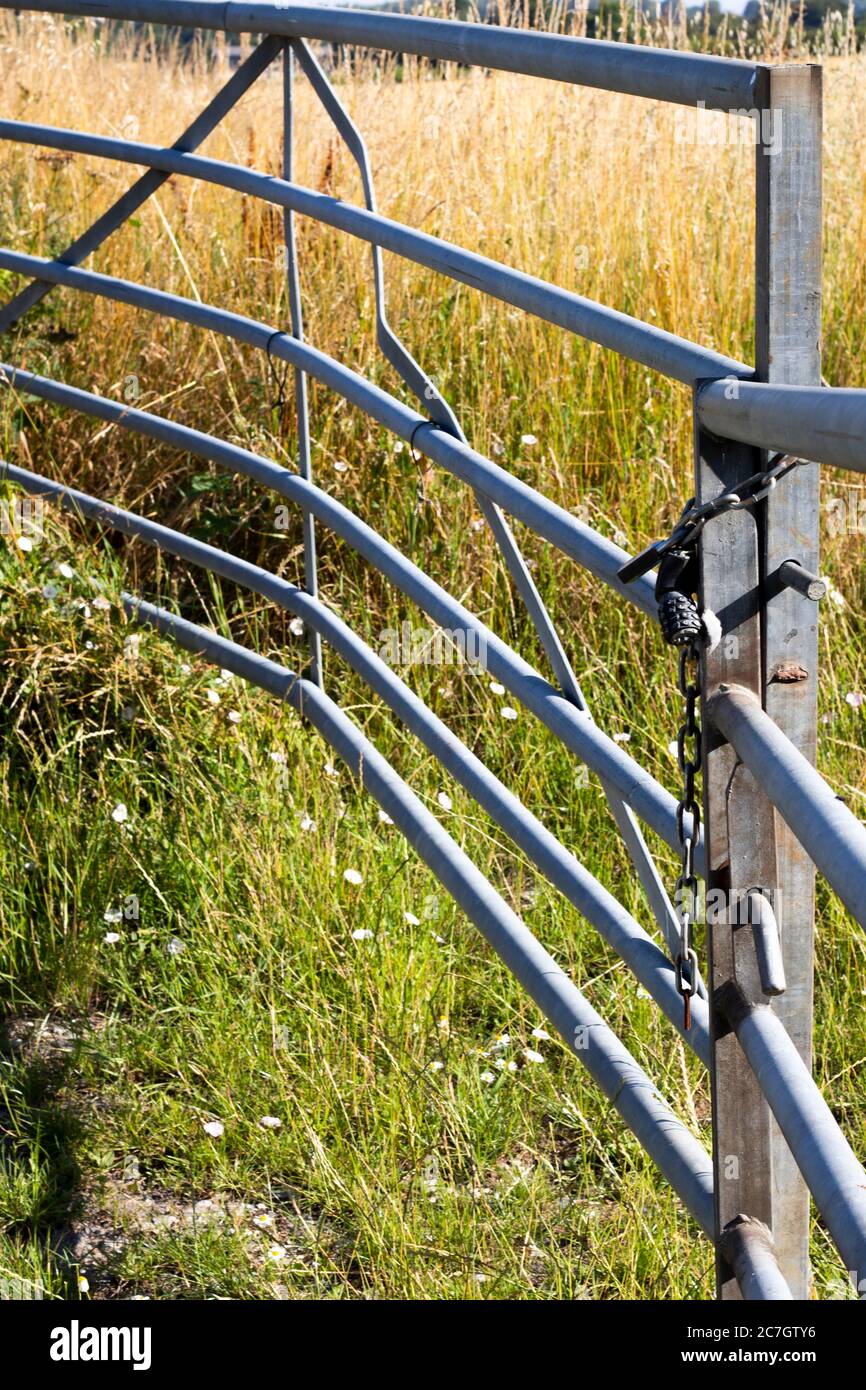 Gesperrte Metall gerahmte Farm Tor zu Weizen Ernte Feld am Rande des West Tytherley Dorf im ländlichen Hampshire Stockfoto