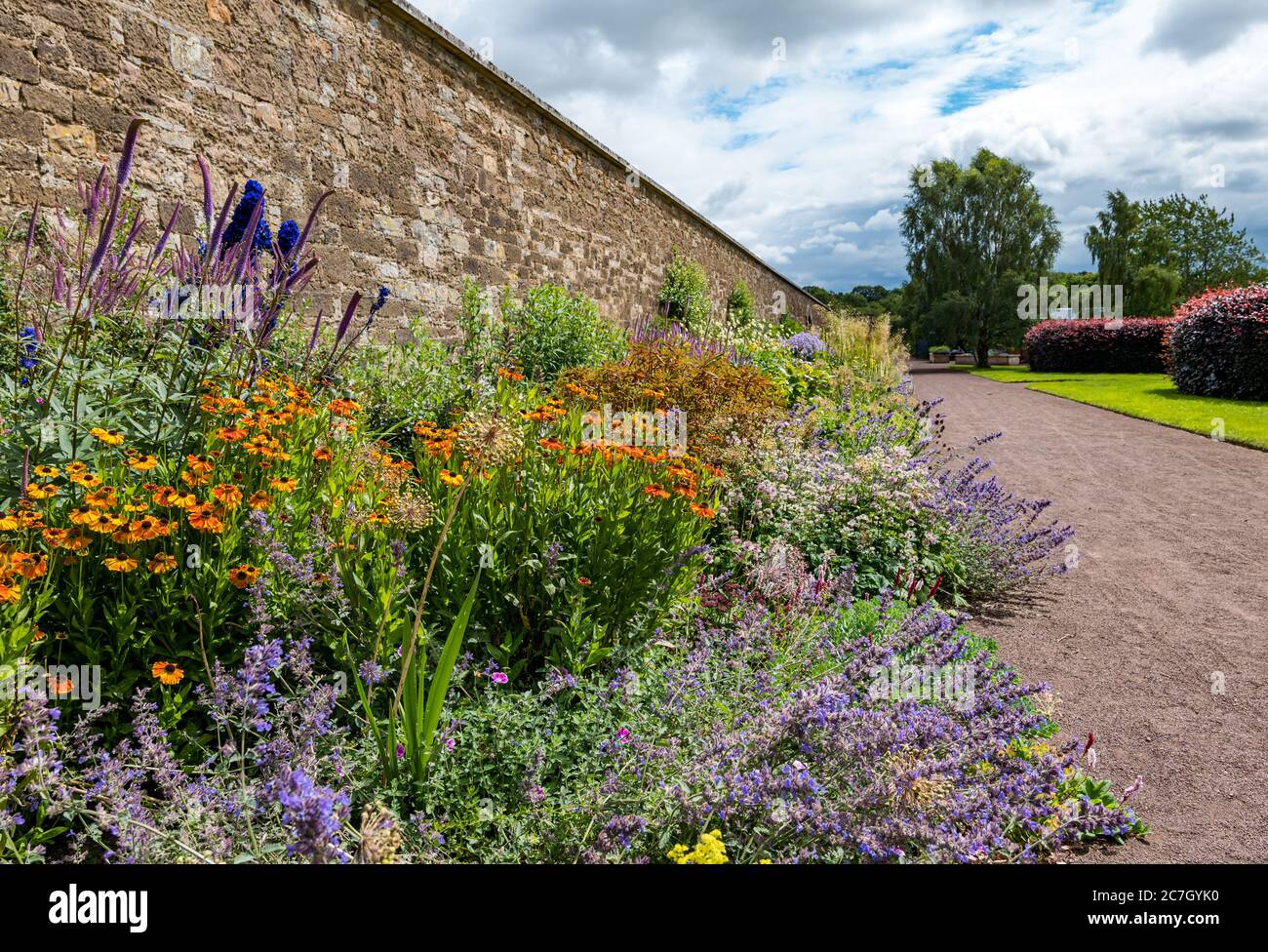 Bunte krautige Blumengrenze, Amisfield Walled Garden, Haddington, East Lothian, Schottland, Großbritannien Stockfoto