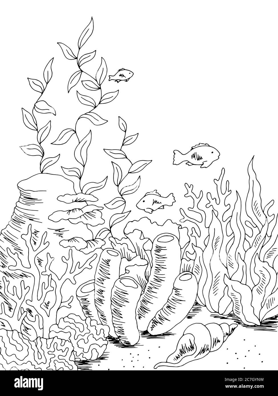 Unterwasser vertikale Grafik Meer schwarz weiß Skizze Illustration Vektor Stock Vektor