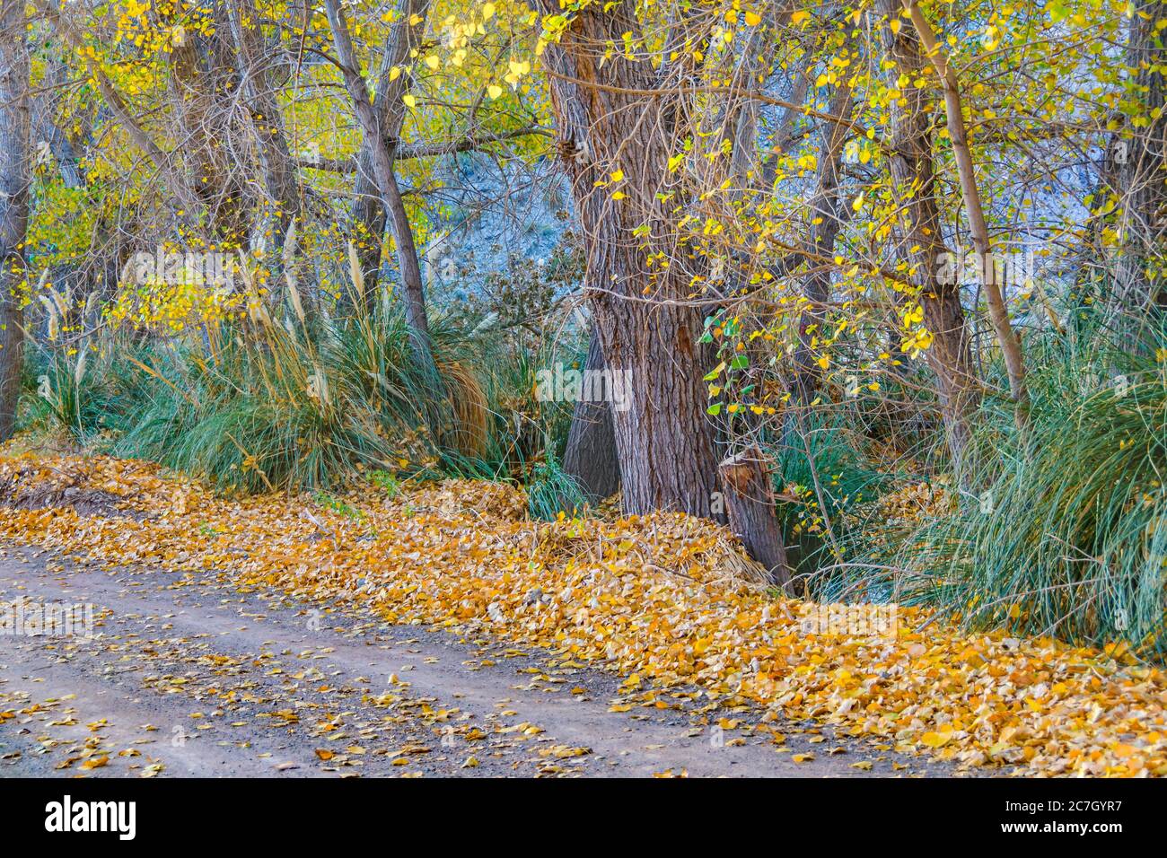 Leere Straßenszene im Nationalpark El leoncito, Calingasta, Provinz san juan, argentinien Stockfoto