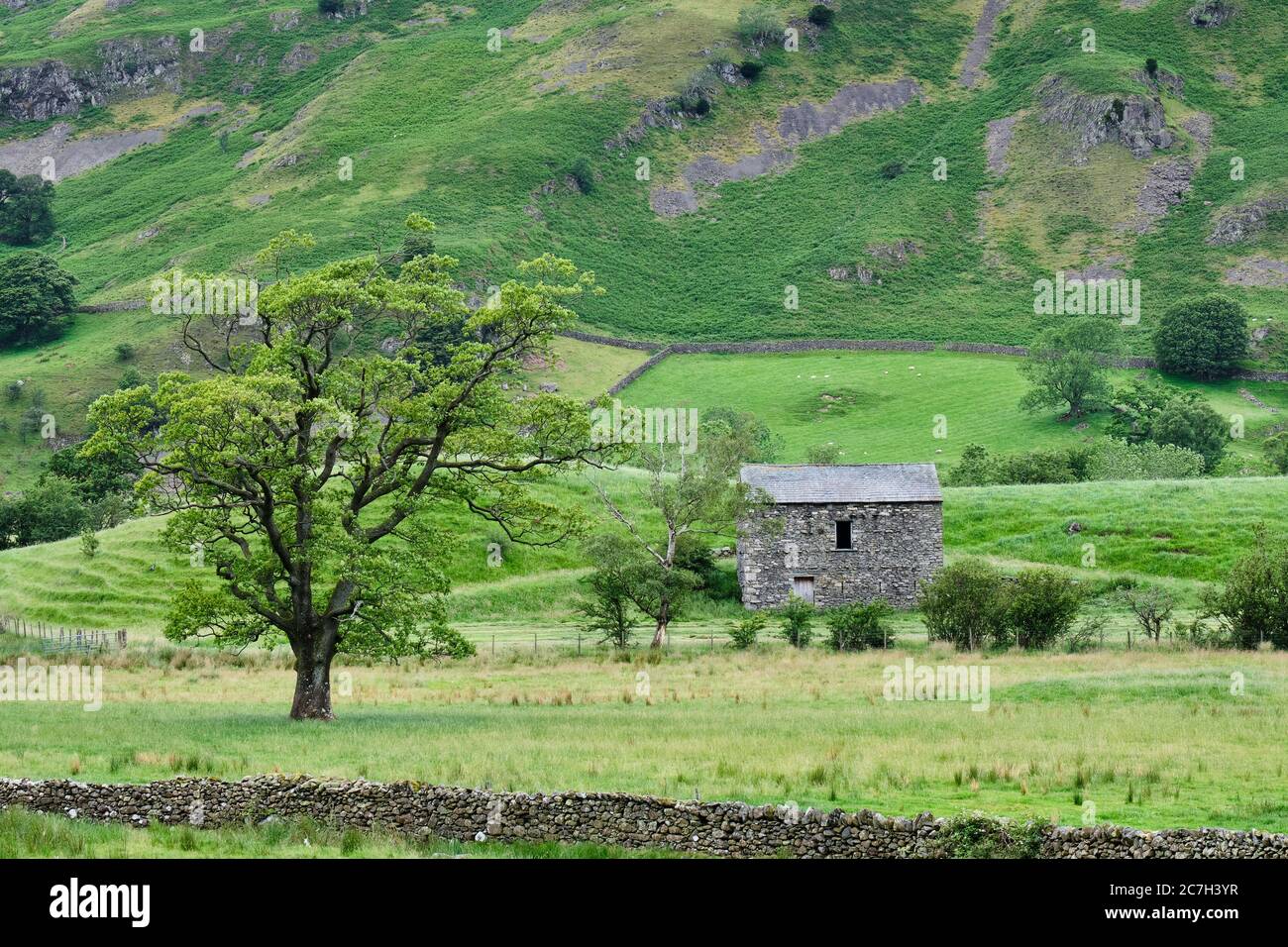 Steinbauernhof in St. Johns im Vale, in der Nähe von Lowthwaite Farm, in der Nähe von Thirlmere, Lake District, Cumbria Stockfoto