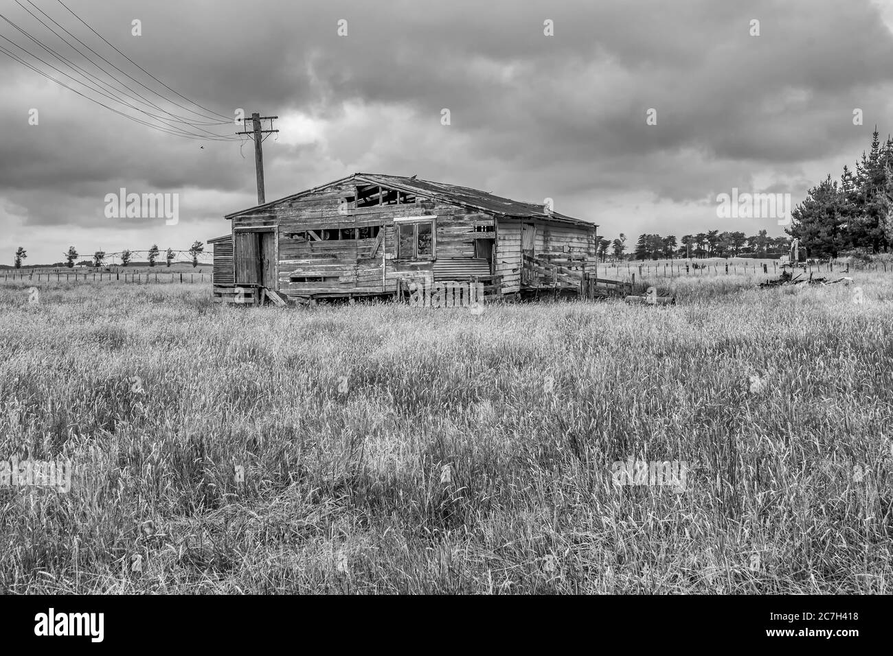 FOXTON, NEUSEELAND - 30. Dez 2019: Eine Graustufenaufnahme einer Holzscheune auf einer Farm, die in Foxton, Neuseeland, gefangen genommen wurde Stockfoto