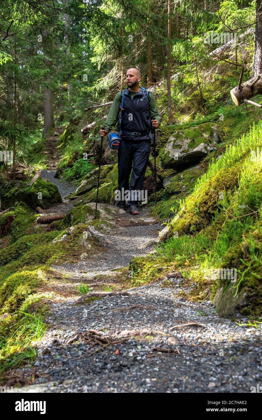 Europa, Österreich, Tirol, Ötztal Alpen, Ötztal, Umhausen, Wanderer im Abstieg von der Armelenhütte im Bergwald Stockfoto