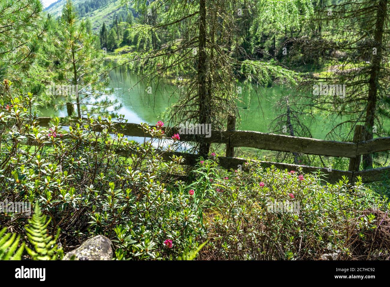 Europa, Österreich, Tirol, Ötztal Alpen, Ötztal, Piller See kurz vor Obergurgl im Ötztal Stockfoto