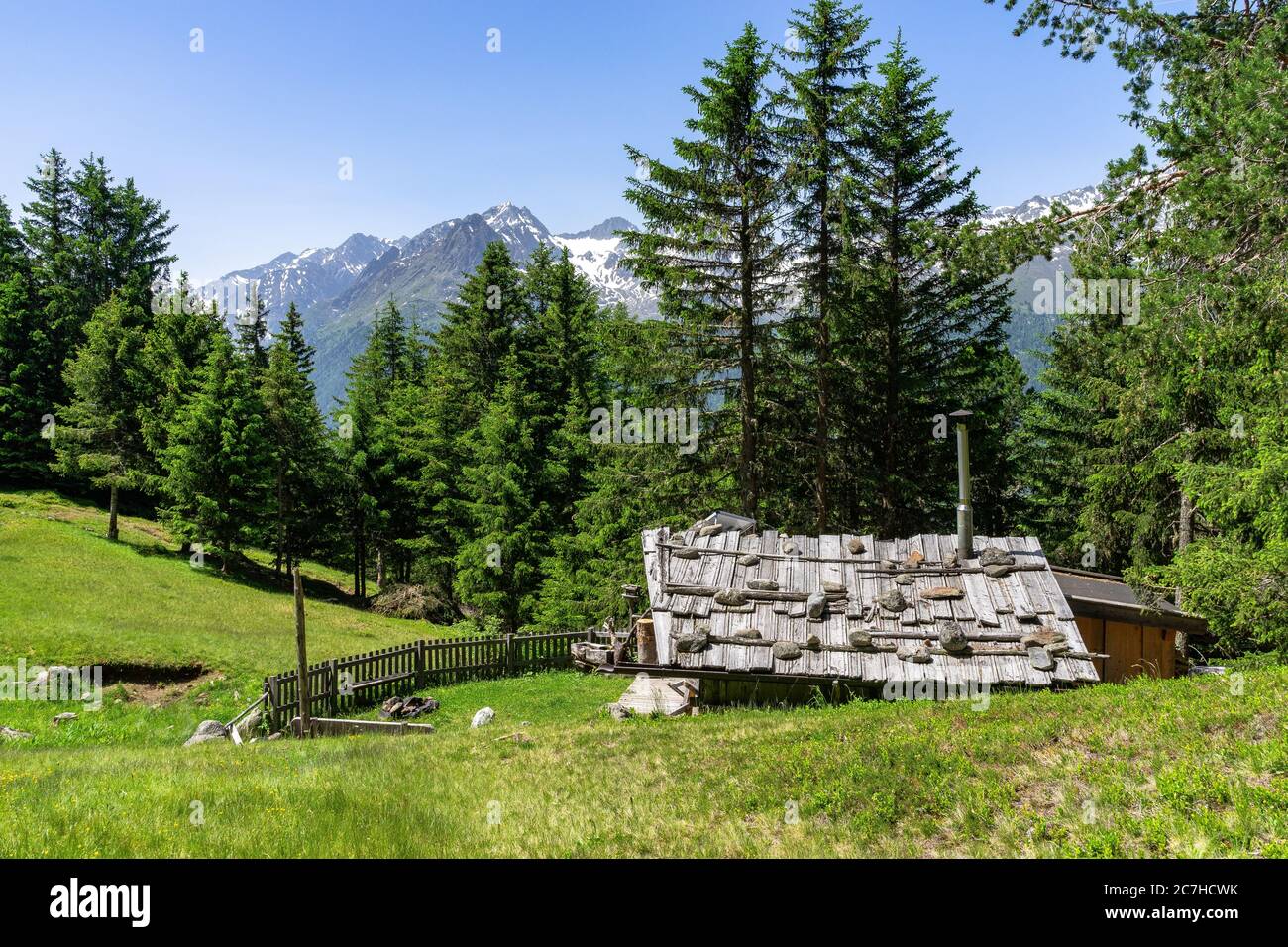 Europa, Österreich, Tirol, Ötztal Alpen, Ötztal, unbewirtschaftete Alp im Bergwald zwischen Niederthai und Längenfeld Stockfoto