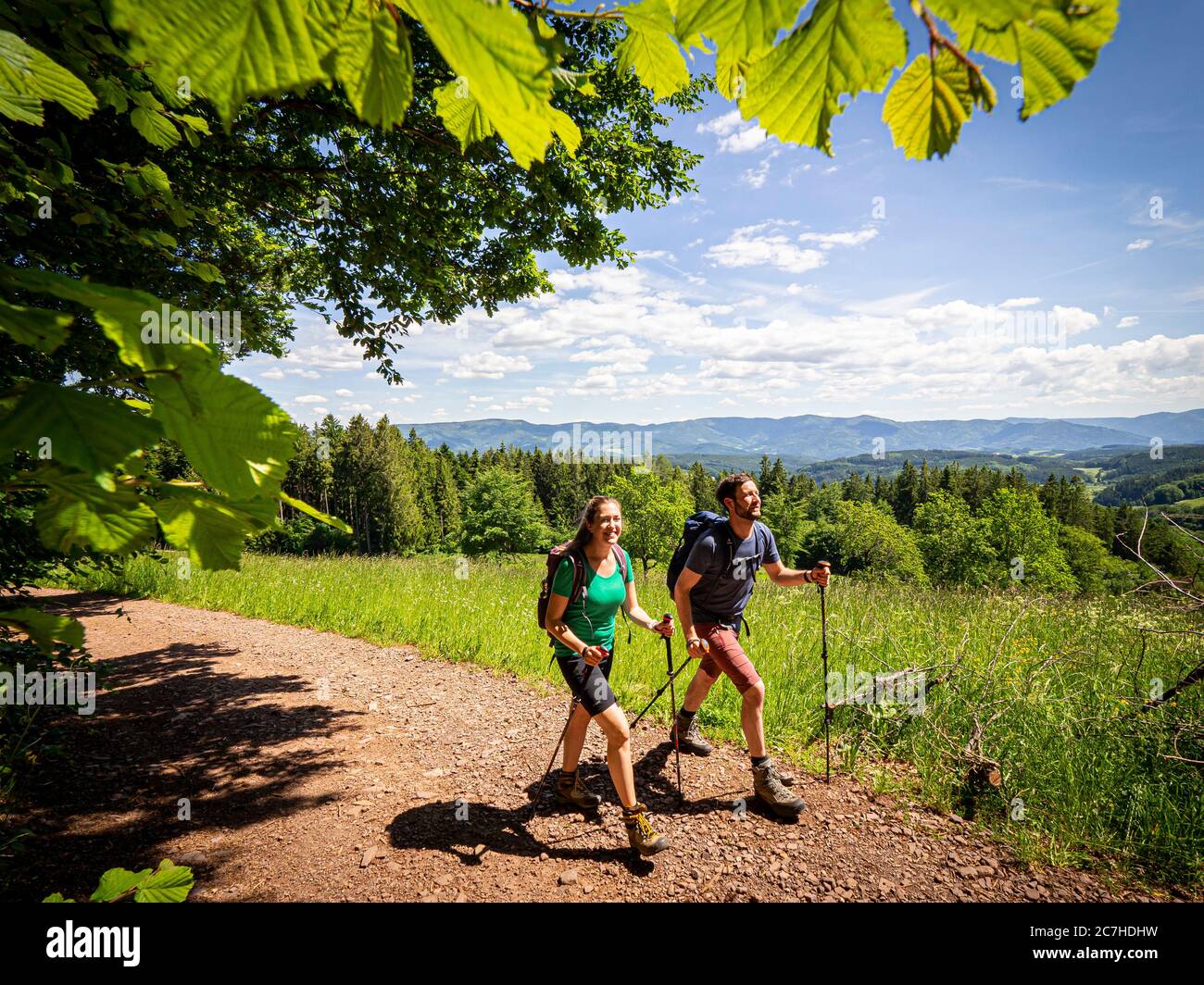 Wandern auf dem Zährersteig, Höhenhäuser Stockfoto