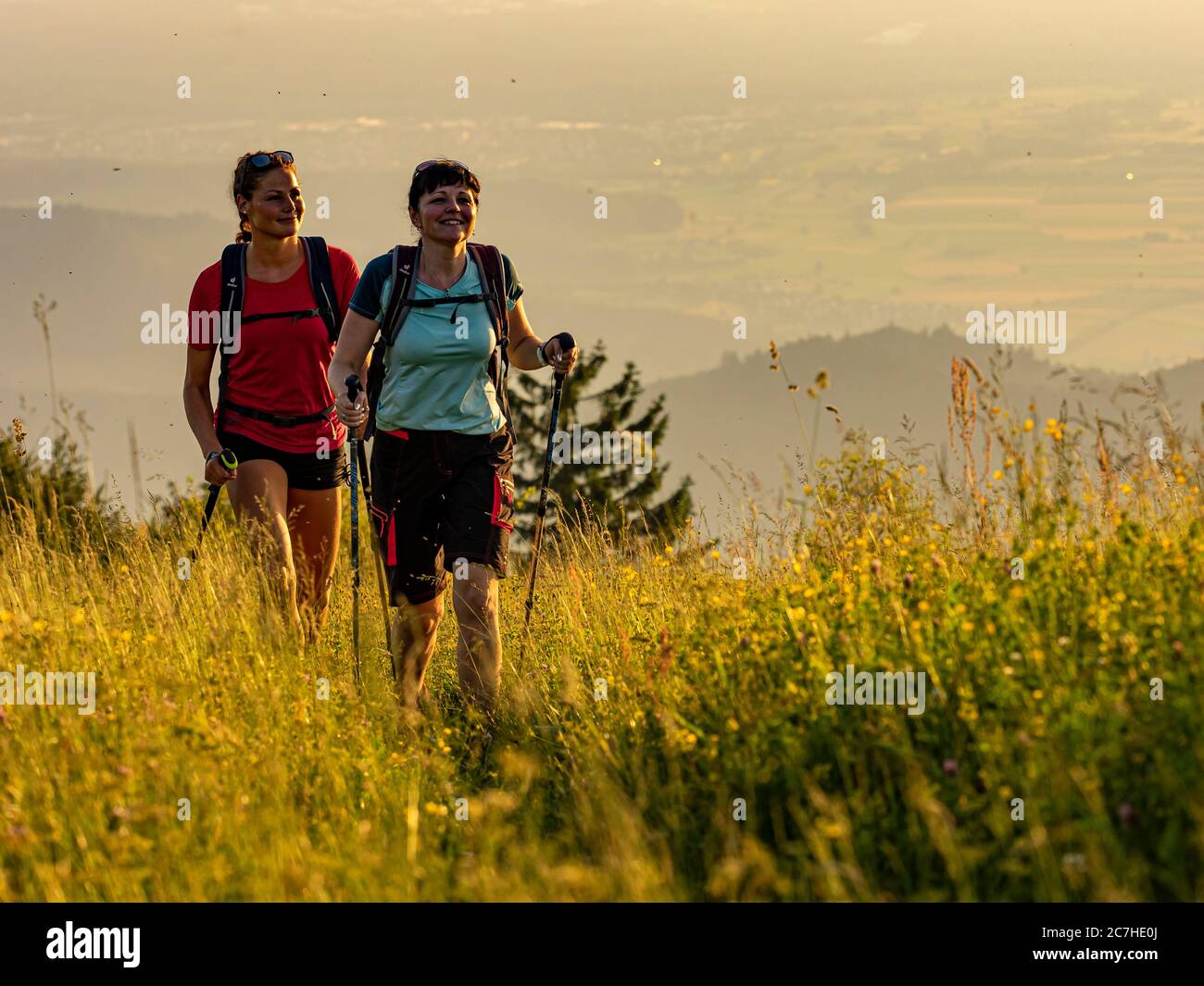 Wandern auf dem Zährersteig, schmaler Wanderweg am Gipfel des Kandel, Blick Richtung Westen Stockfoto