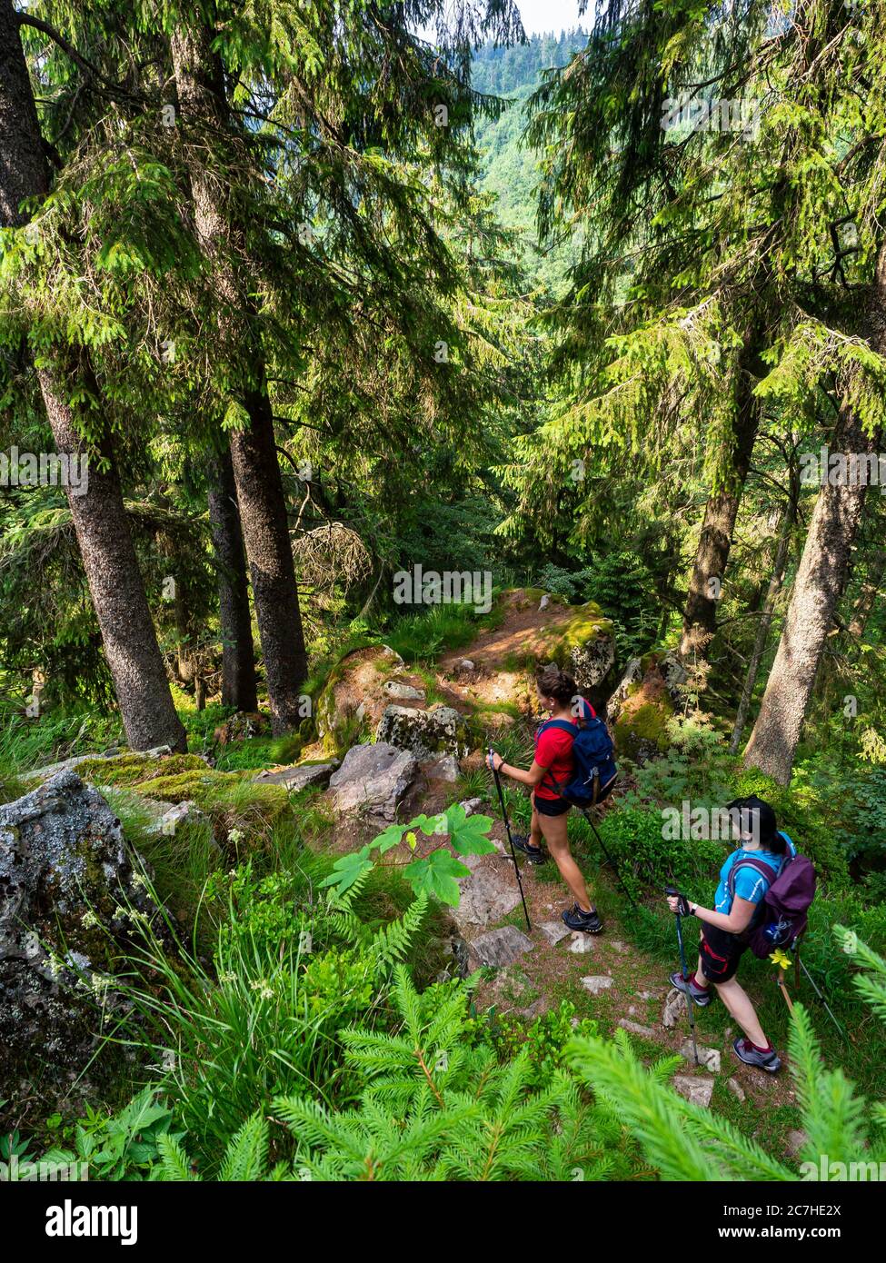 Wandern auf dem zweiten Talweg, schmaler Weg auf dem Kandel Stockfoto