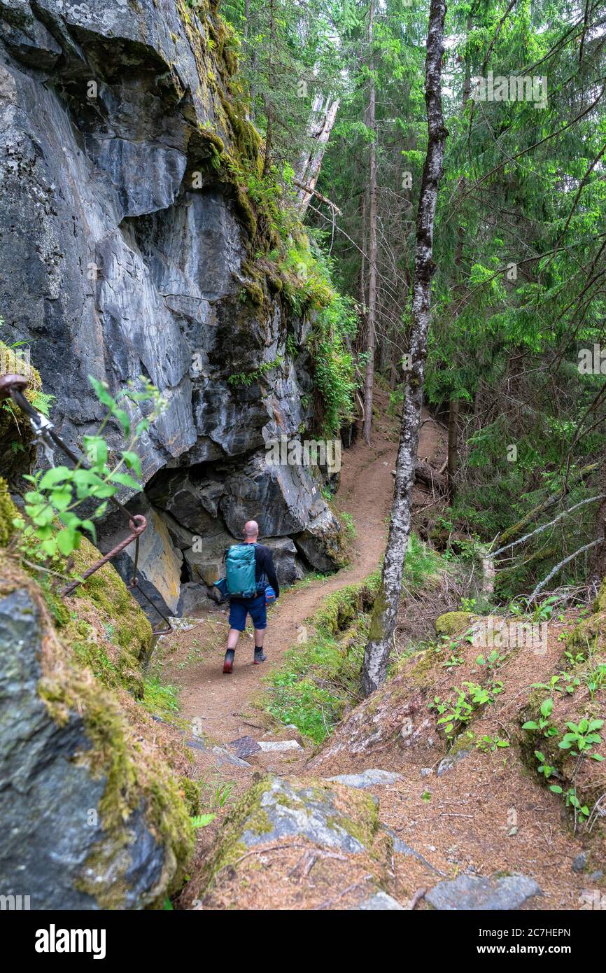 Europa, Österreich, Tirol, Ötztal Alpen, Ötztal, Wanderer im Bergwald oberhalb Längenfeld Stockfoto