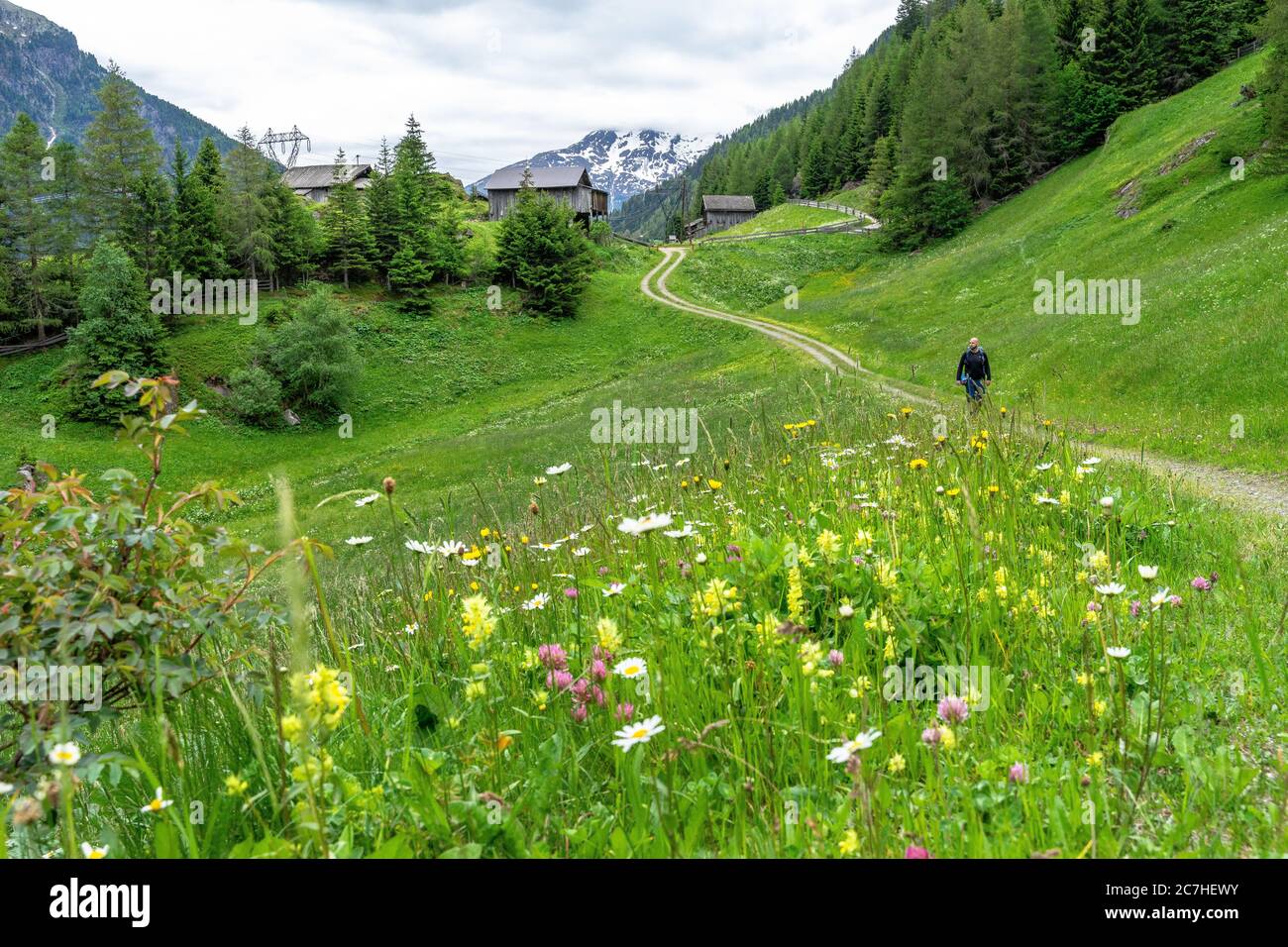 Europa, Österreich, Tirol, Ötztal Alpen, Ötztal, Wanderer auf einer Bergwiese beim Berggasthof Hochwald im Ötztal Stockfoto