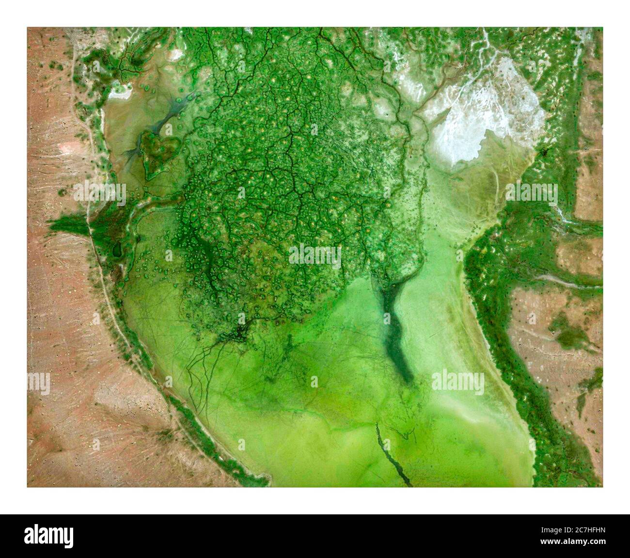 Satellitenansicht von Bolivien, grüner See zwischen ariden Ländern und Bergen. Natur und Luftaufnahme. Globale Erwärmung, Klimawandel Stockfoto