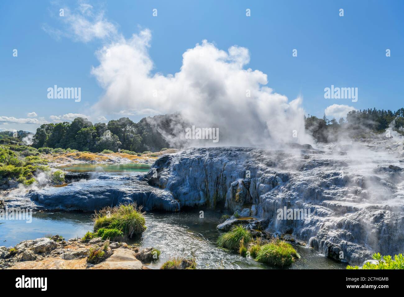 Pōhutu Geyser, Te Puia, Te Whakarewarewa Geothermal Valley, Rotorua, Neuseeland Stockfoto