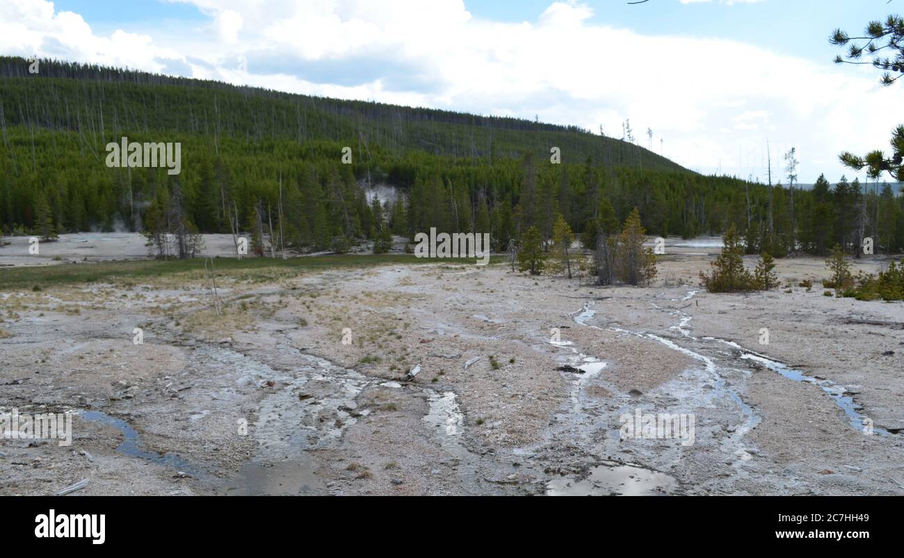 Frühling im Yellowstone: Steamboat Geyser Drainage, Crater Spring, Arch Steam Vent Plume & Tantalus Spring im Back Basin des Norris Geyser Basin Stockfoto