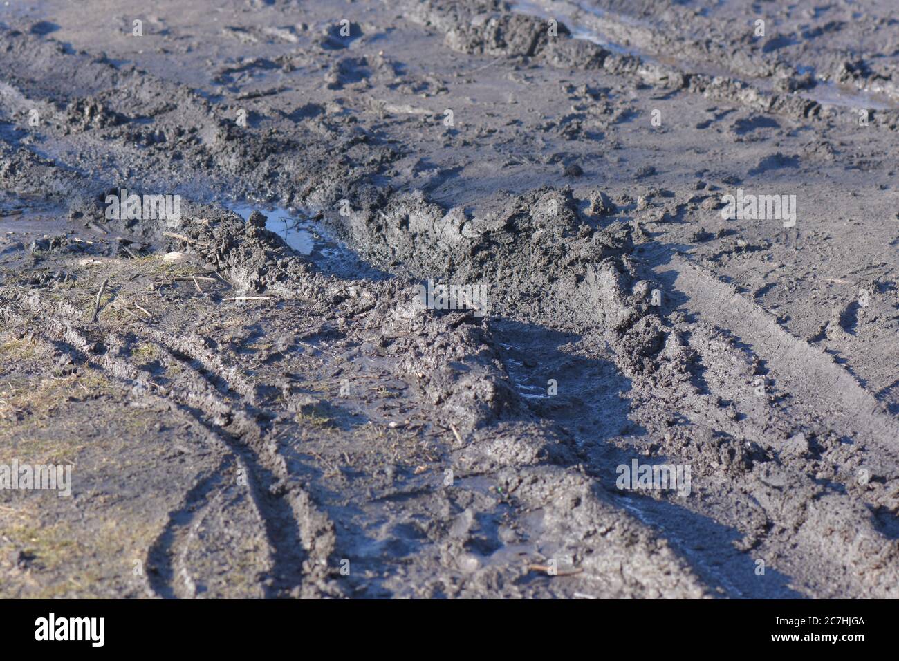 Spuren Reifen auf dem Schlamm Stockfoto
