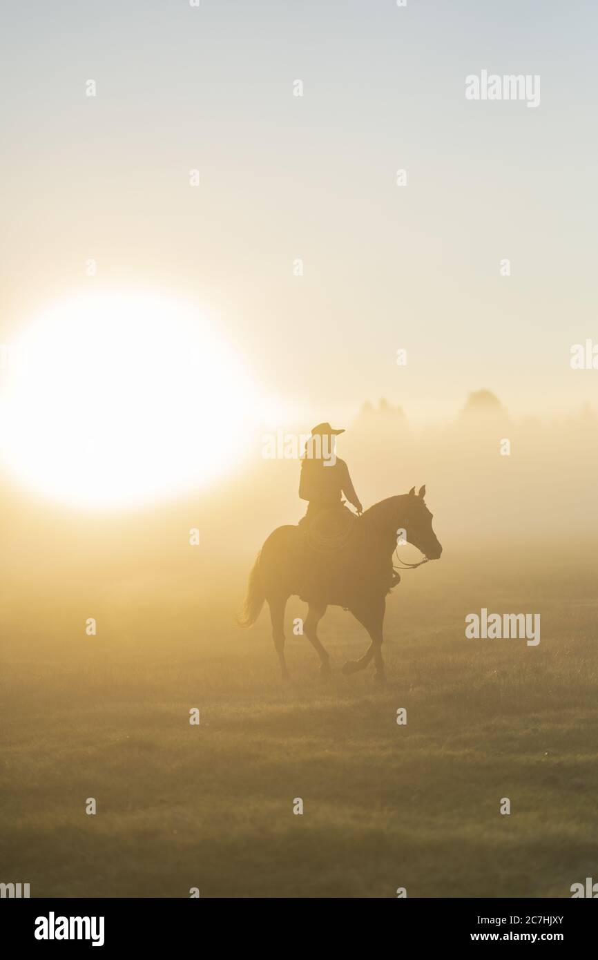 Vertikale Aufnahme eines Mannes, der ein Pferd in den reitet Strahlende Sonne Stockfoto