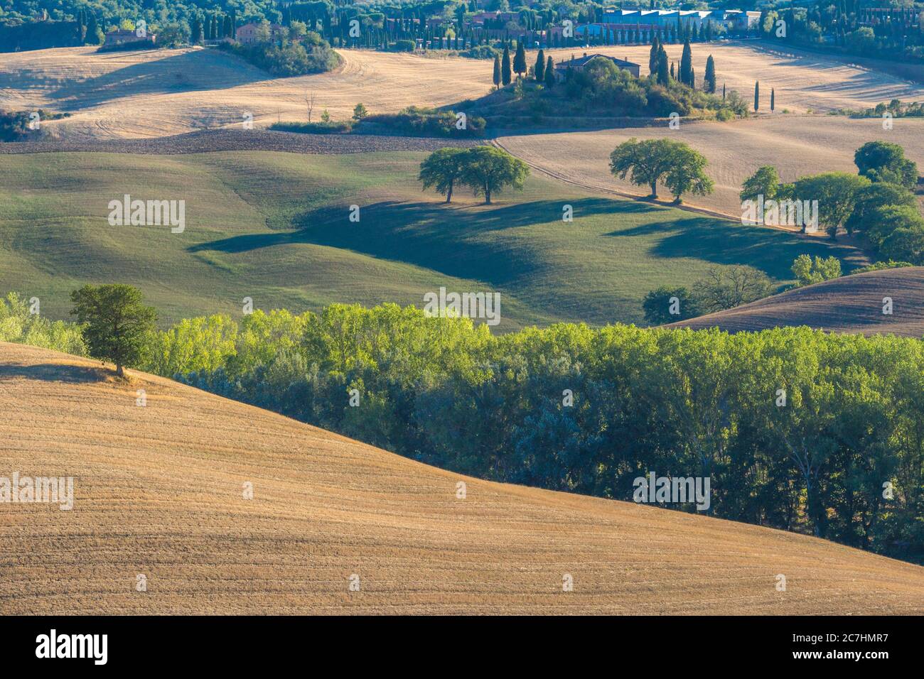 Toskanische Landschaft mit sanften Hügeln, Zypressen und einer üppigen grünen Landschaft. Stockfoto