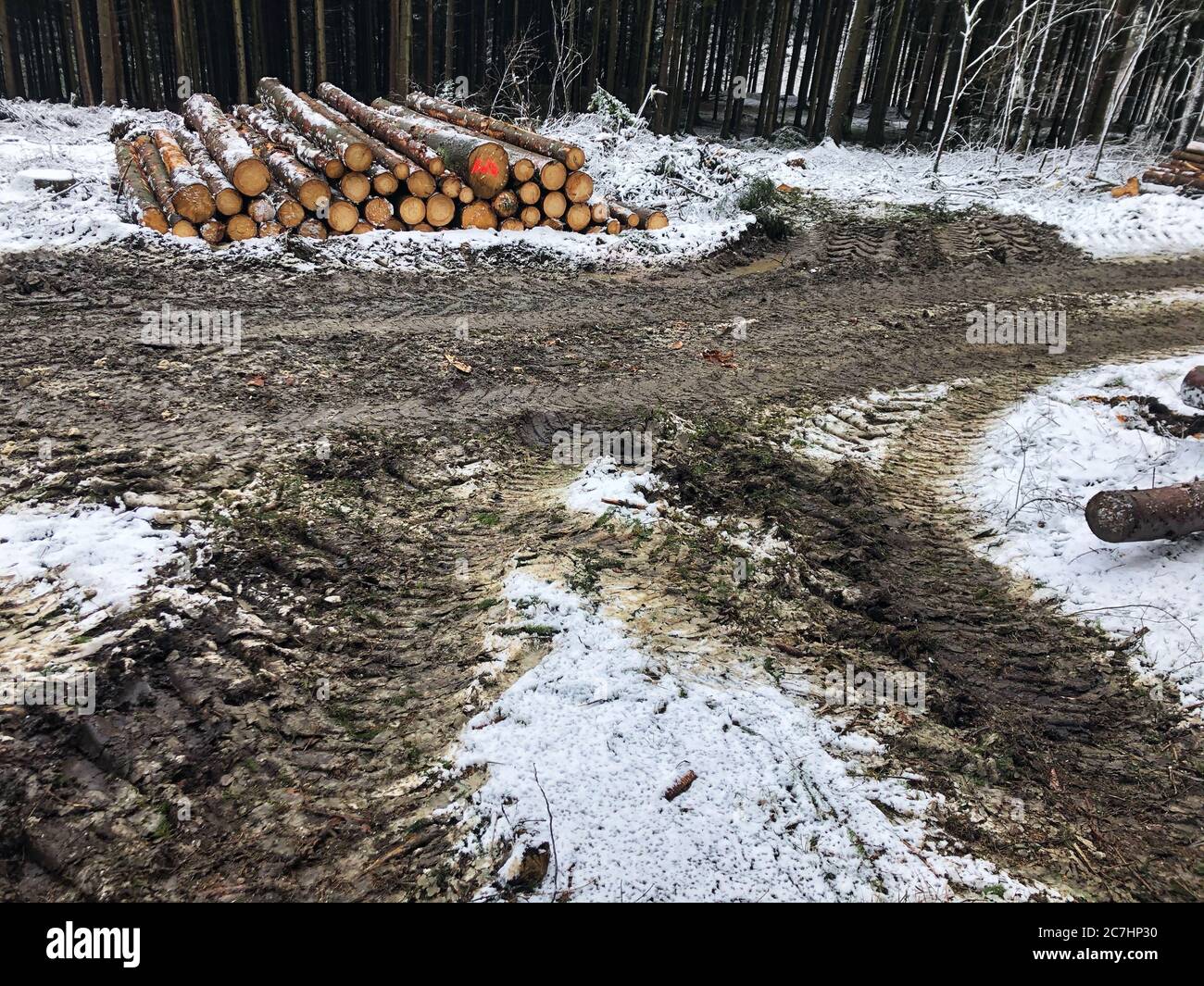 Sturmschaden im Sauerland Stockfoto