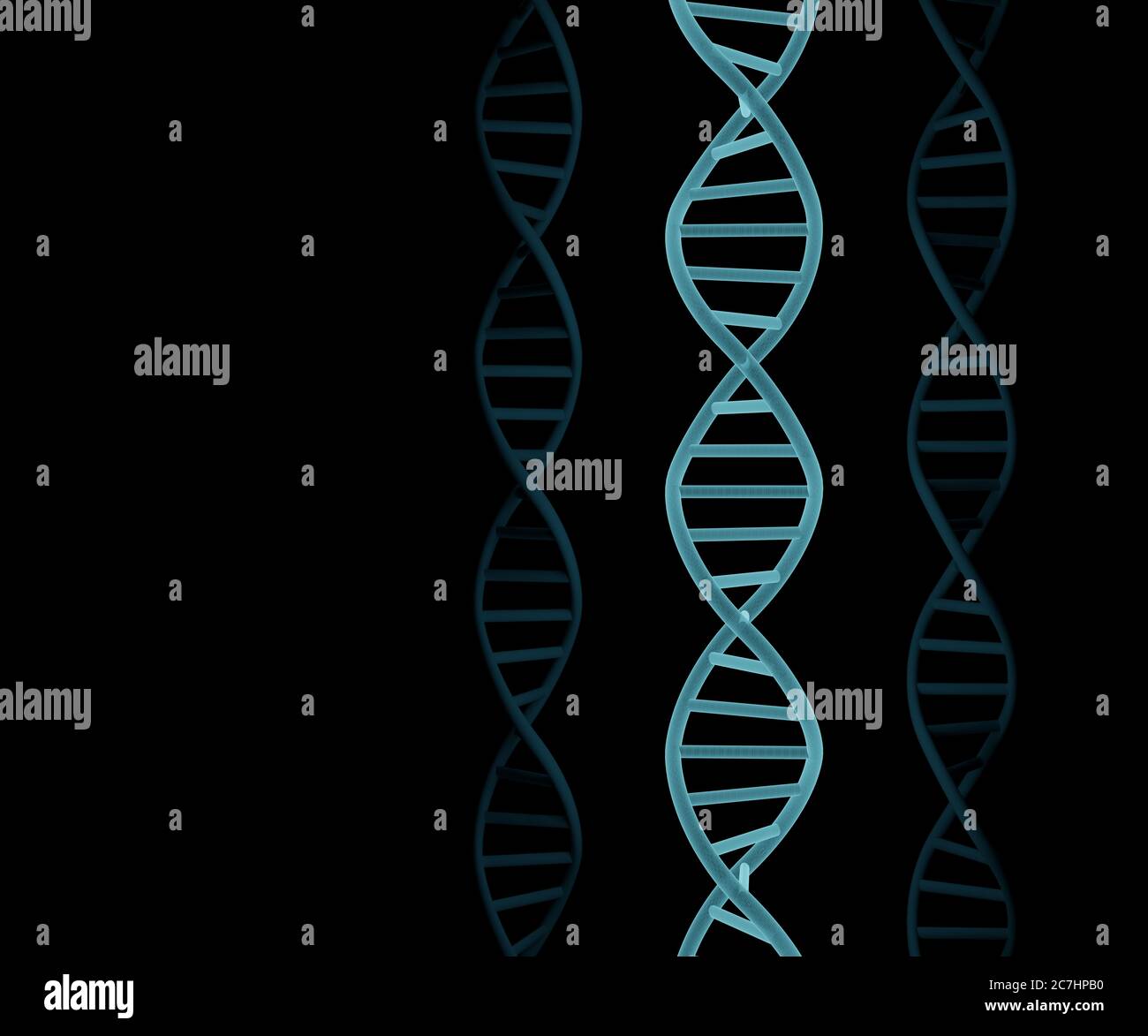DNA-Moleküle Struktur auf schwarzem Hintergrund. Science and Technology Konzept, 3d Rendering Stockfoto