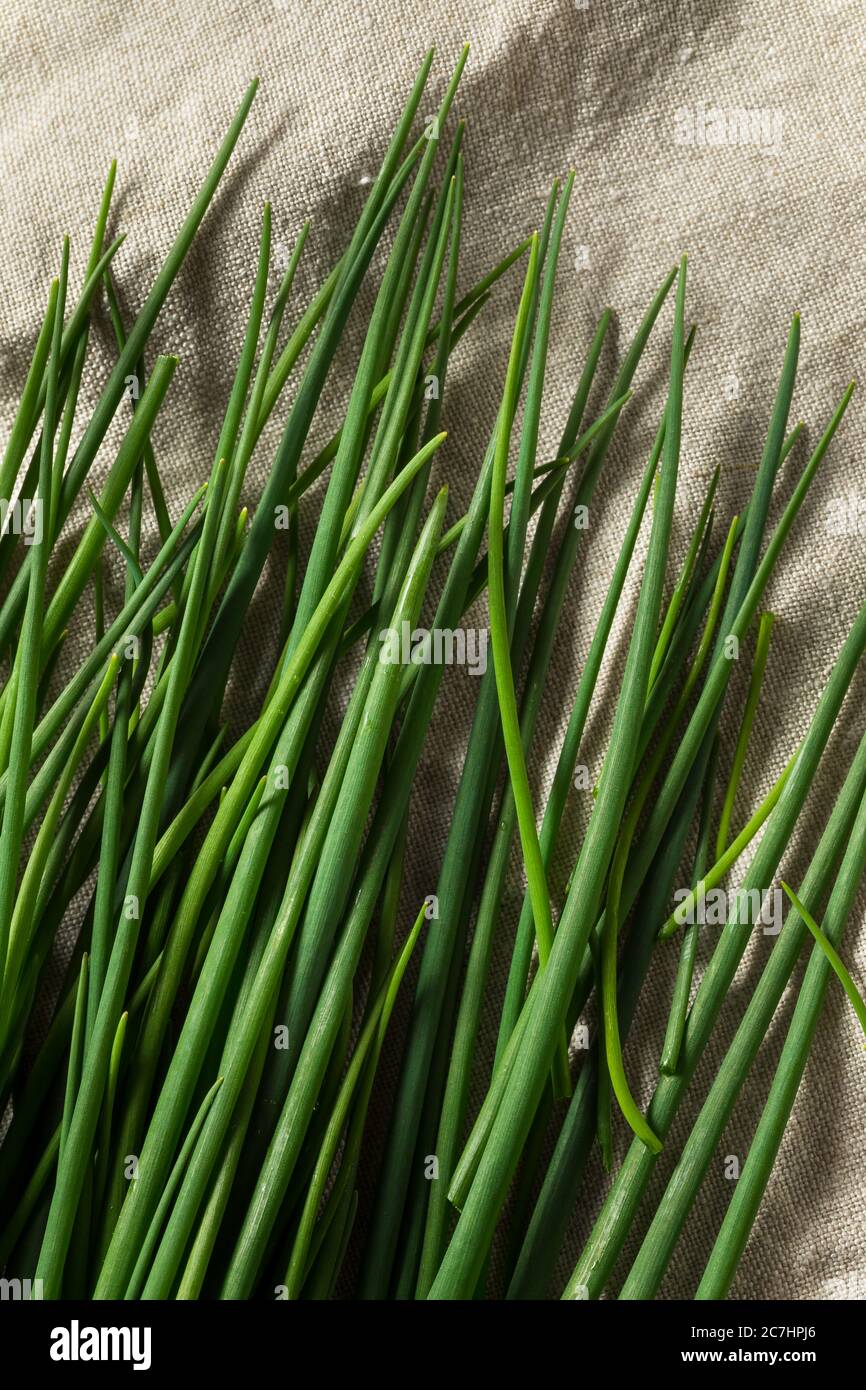 Roh Grün Bio frischen Schnittlauch bereit zum Kochen mit Stockfoto