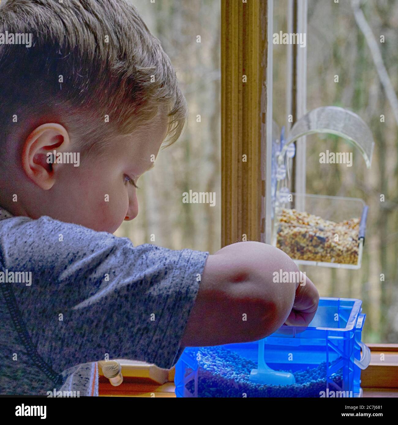 Kleiner Junge sccops herauf Vogelsaat, zum in Fenster-montierte Zuführung zu laden. Stockfoto